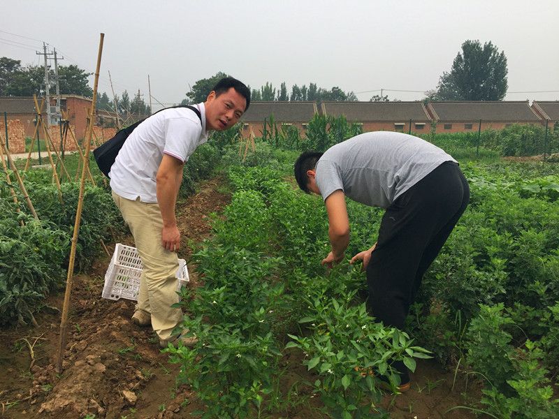 好利來(lái)郭總喊您來(lái)摘菜啦！綠色無(wú)公害，放心！
